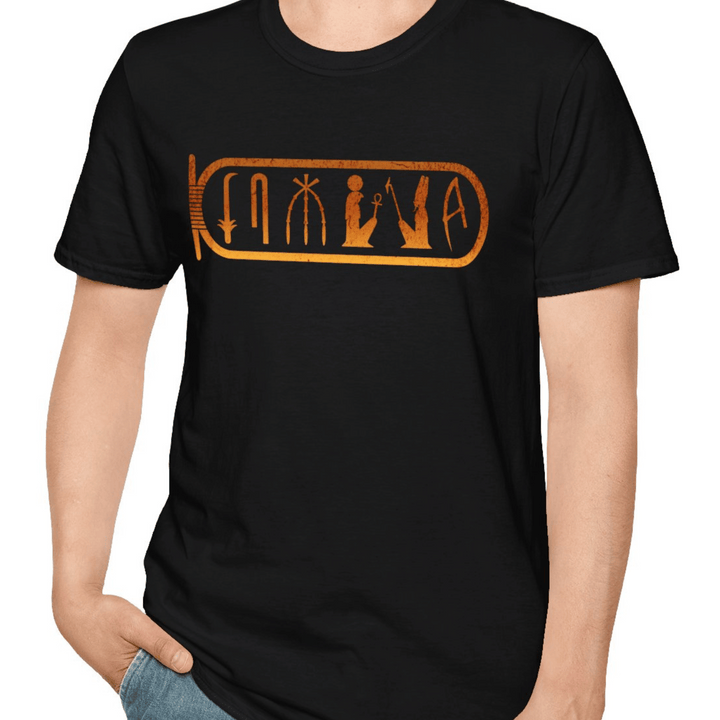 WRITTEN IN STONE - Unisex Softstyle T-Shirt